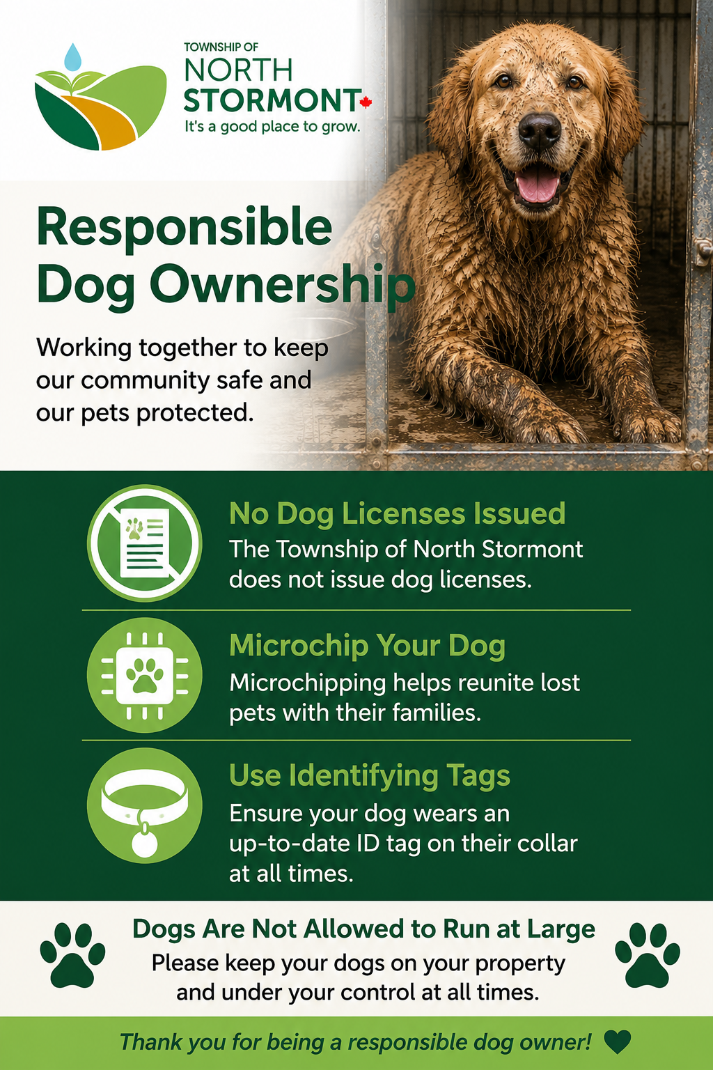 Responsible dog ownership infographic encouraging owners to microchip dogs