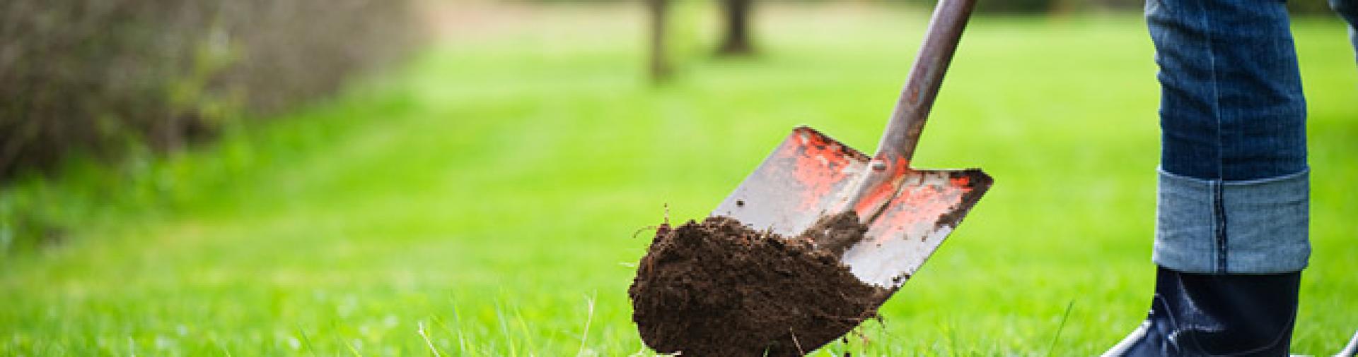 Digging in yard with shovel