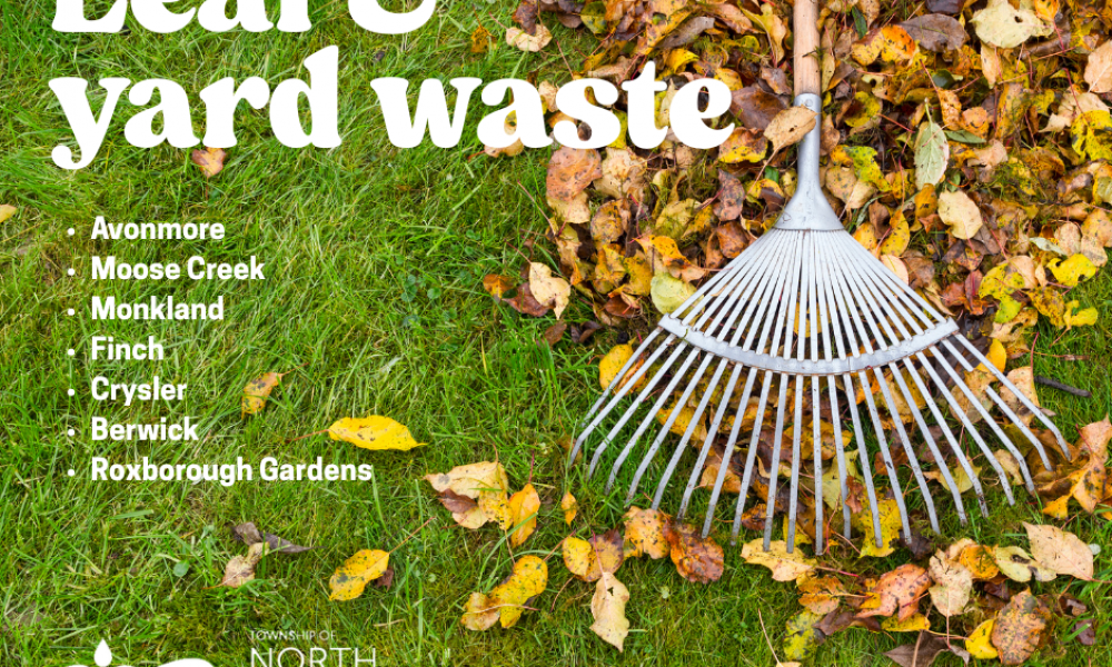 leaf and yard waste