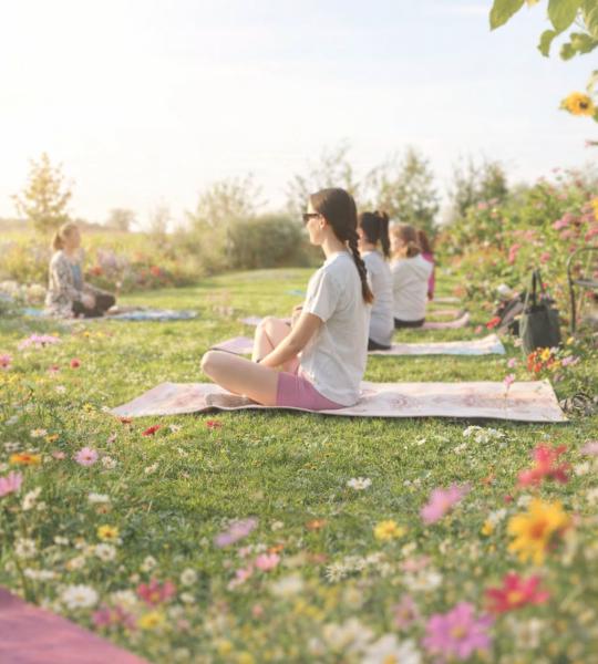 Yoga at Brighter With Blooms Farm
