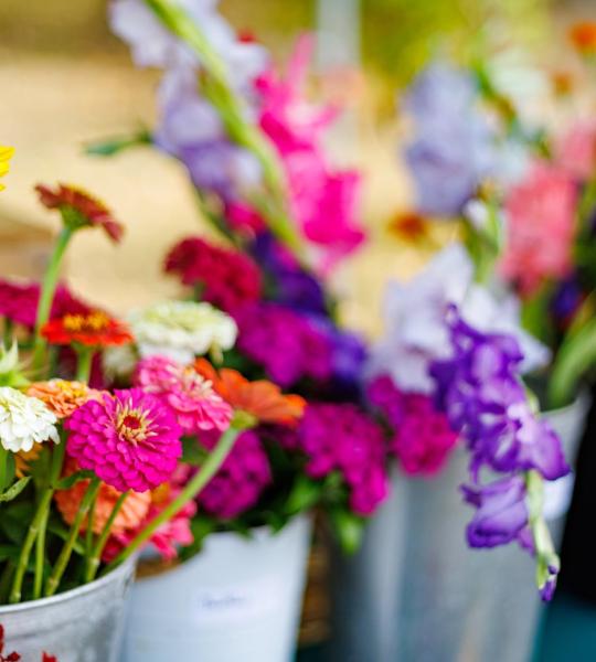 flower buckets at Brighter With Blooms Farm