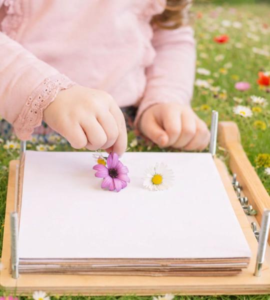 a child pressing flowers