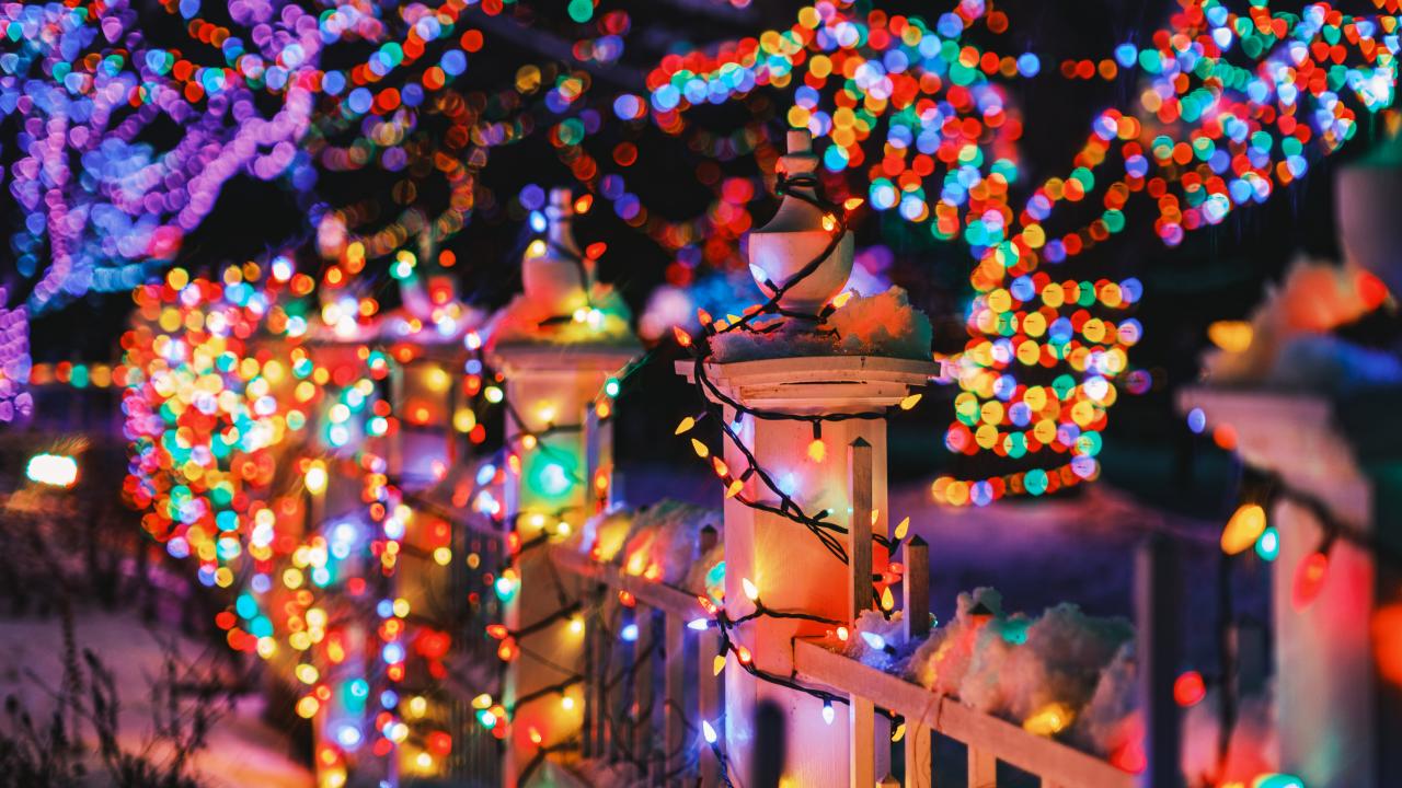 christmas lights