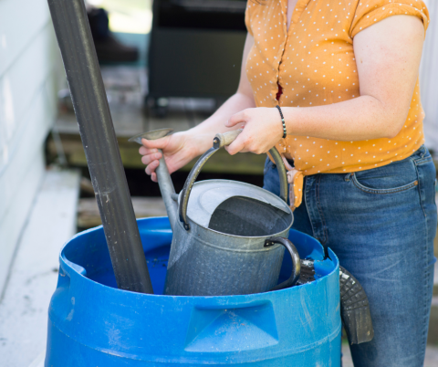 A woman empties a rain barrel.