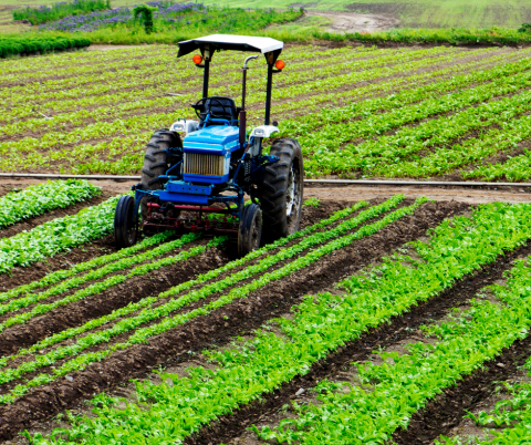 agriculture