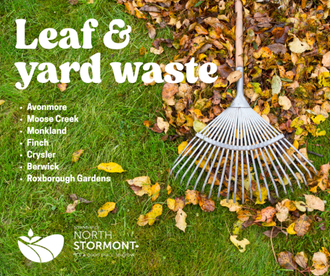 leaf and yard waste