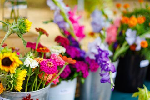 flower buckets at Brighter With Blooms Farm