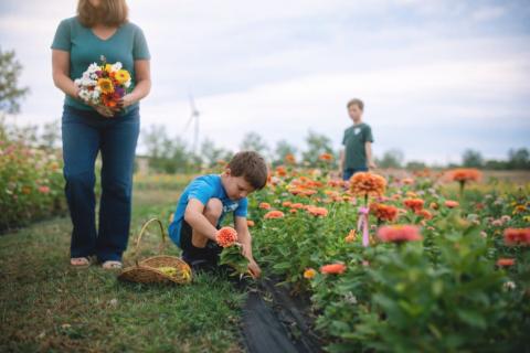 Brighter With Blooms kids flower picking event