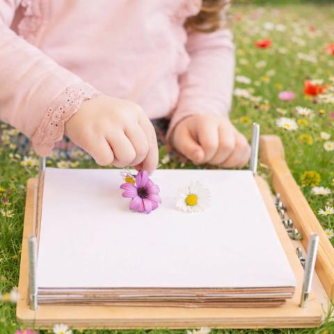 a child pressing flowers
