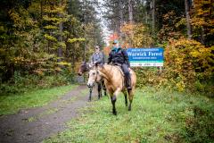 Warwick Forest Trail
